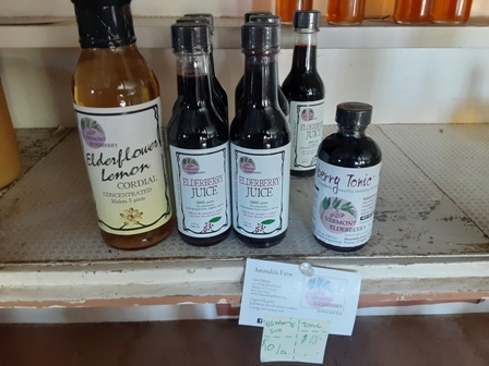 Elderberry Immunity Tonic
