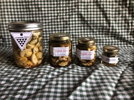 Pickled Garlic