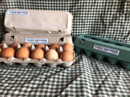 Eggs