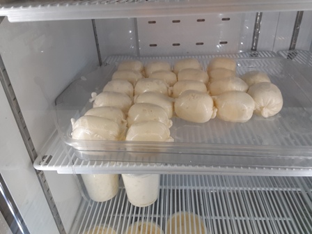 Fresh Mozzarella